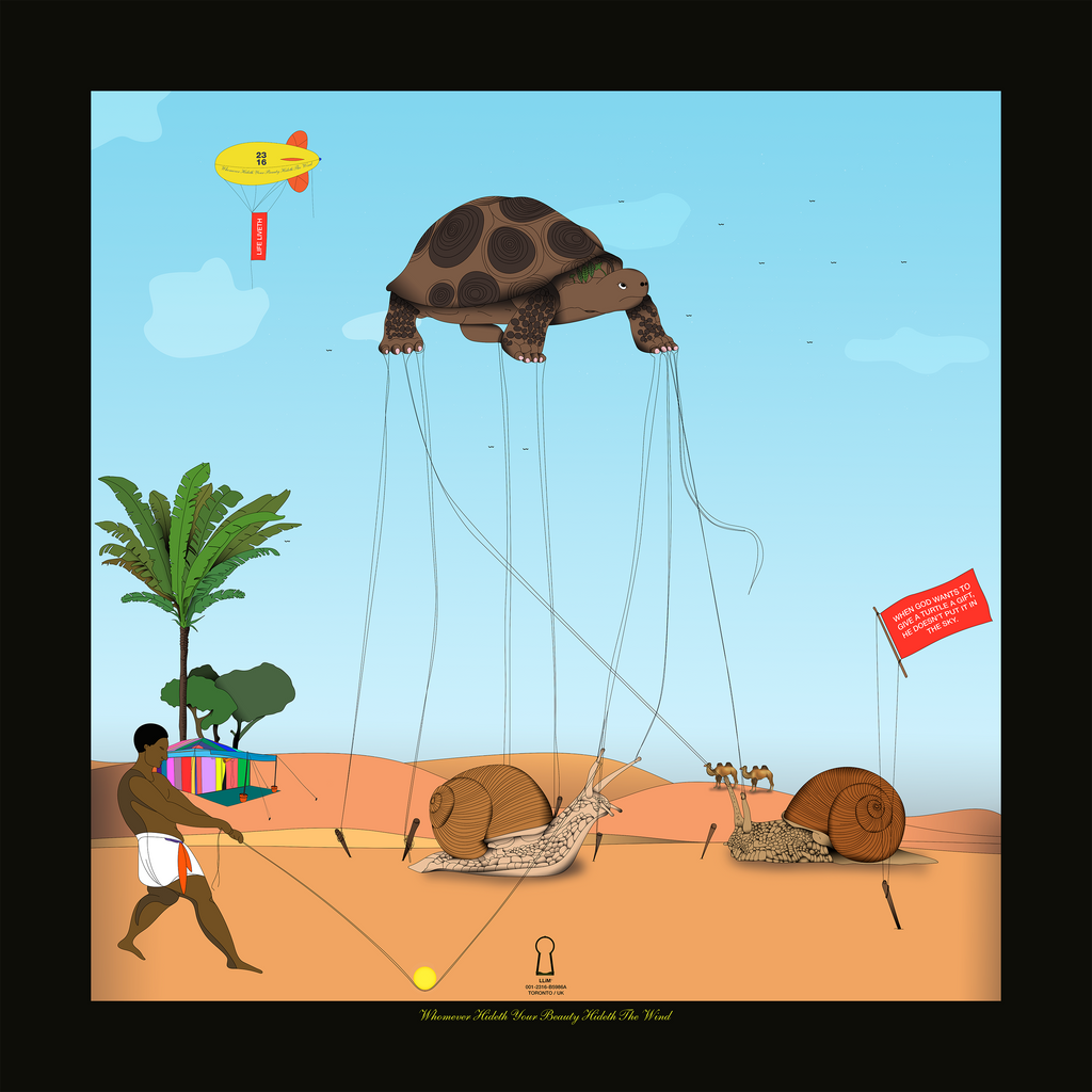 Flying Turtle